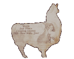 Llama Award