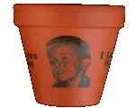 Flower pot