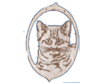 Kitty Christmas ornament
