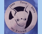 Chihuaua head magnet
