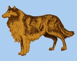 Dogs
