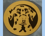 Dalmation head magnet